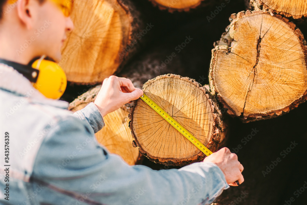 Back view male forester using measuring tape to measure cut tree logs