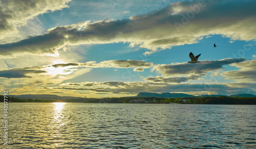 sunset with seagull on the sea © MigusVillar