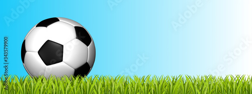 Soccer Ball On Green Grass Field - 3D Illustration With Copy Space - Isolated On Blue And White Gradient Background