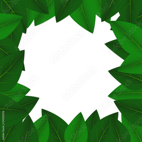 Vector : Green leaves on white background © anueing