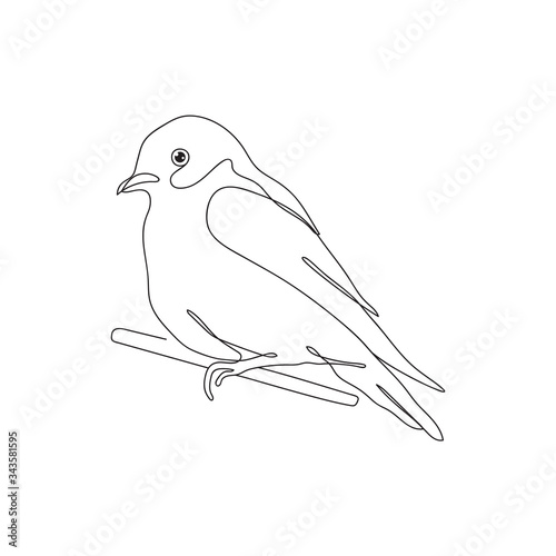 Continuous line drawing finch canaries bird.