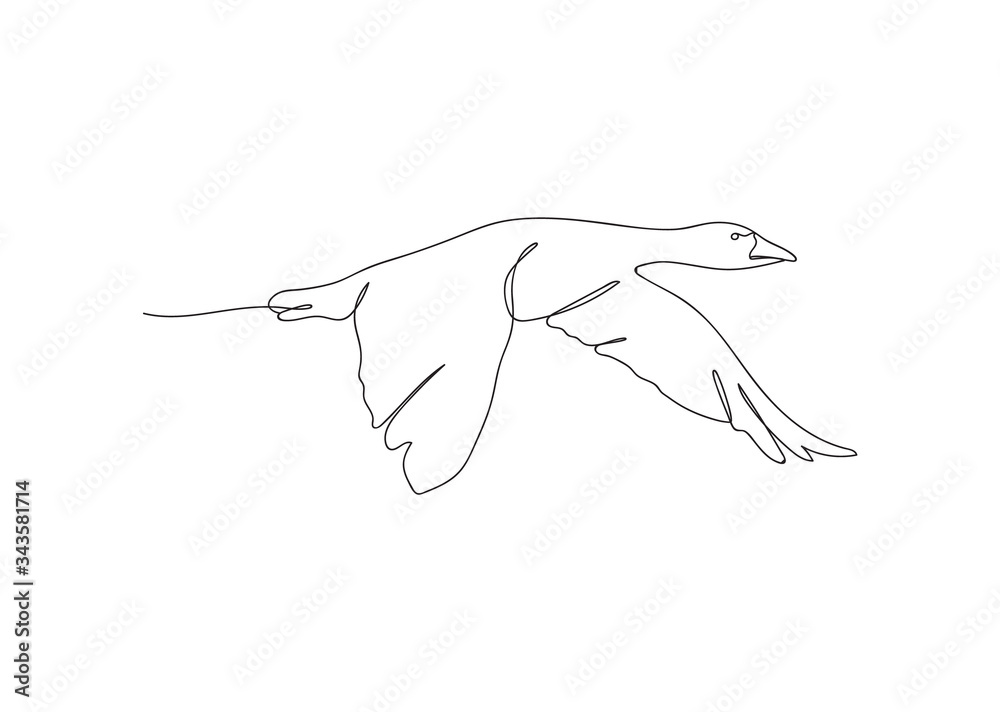 Obraz premium Continuous line drawing flying goose swan