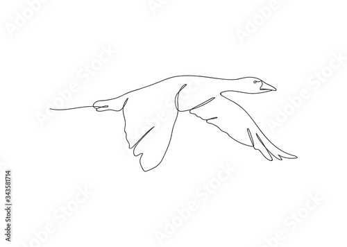 Continuous line drawing flying goose swan