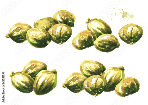Heap of Marinated small capers set. Hand drawn watercolor illustration isolated on white background