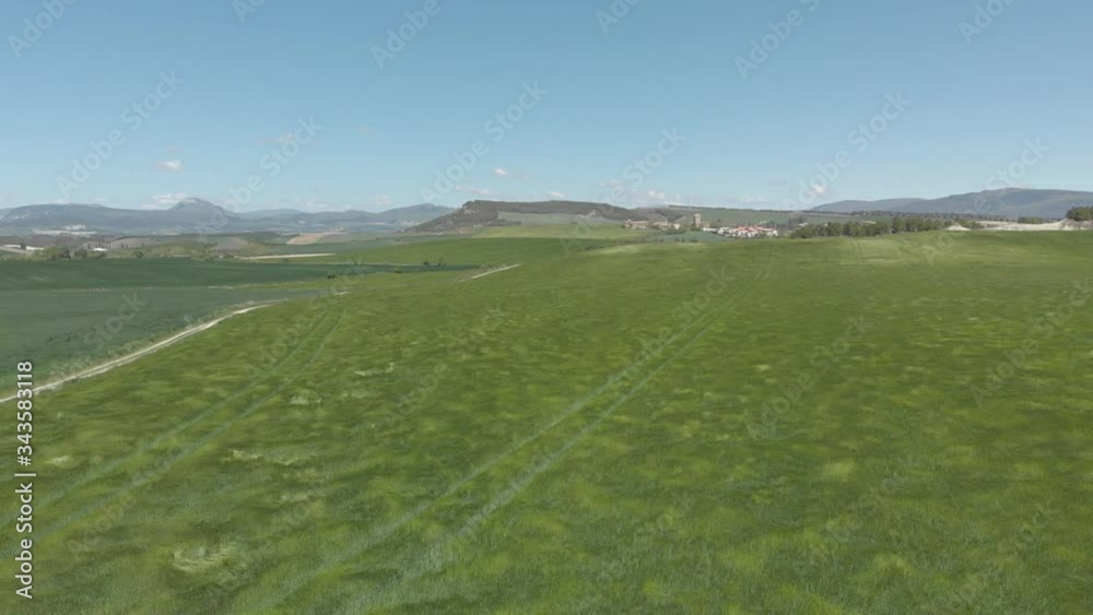 Mar de hierba