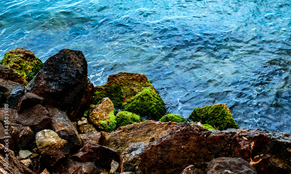 stones with moss at the seaside stones with moss at the seaside