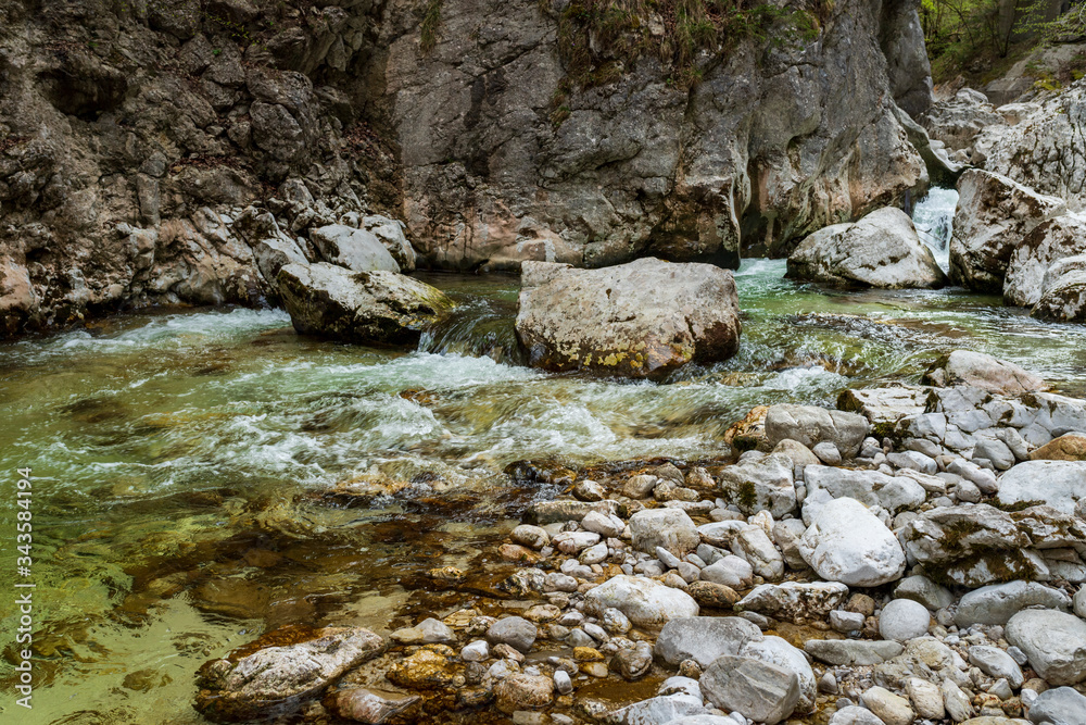 torrential mountain stream of Austria torrential mountain stream of Austria