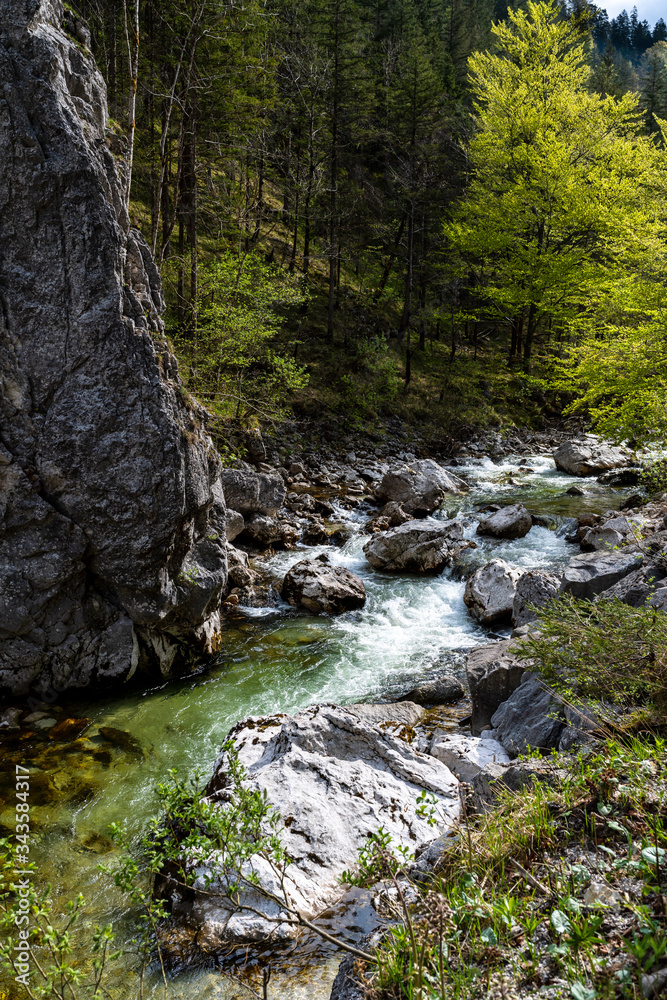 Obraz premium torrential mountain stream of Austria
