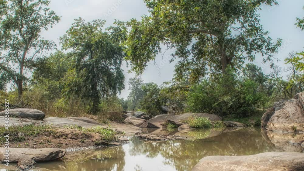Kanha National Park, India. Landscape with a river and forest trees. Kanha National Park, India. Landscape with a river and forest trees.