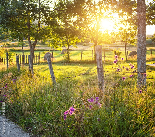 A wooden fence in a garden ...