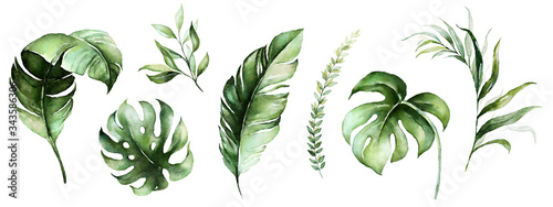 Watercolor tropical floral illustration set with green leaves for wedding stationary, greetings, wallpapers, fashion, backgrounds, textures, DIY, wrappers, postcards, logo, etc.