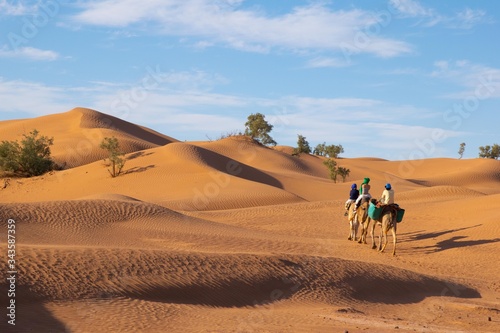 Camel Ride to Timbuktu through the Sahara Desert Dunes photo