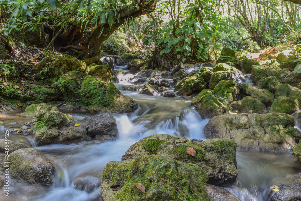 Silver Creek at the Guatemala Jungle in Central America Silver Creek at the Guatemala Jungle in Central America