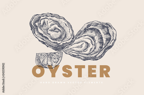 Hand-drawn oysters and lemon slice vector illustration. Seashells in engraving style on a light background. Seafood. The menu design element of a fish restaurant, market or store.