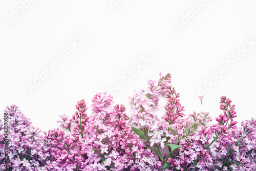 Lilac flowers closeup on white background, soft focus, vintage toned. Floral background	