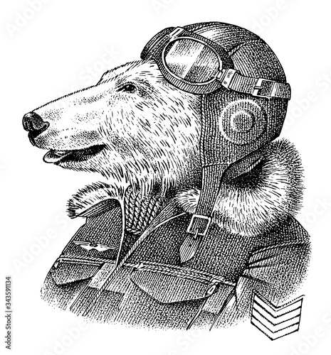Polar bear dressed up in pilot or airman. Flyboy or skyman. Fashion Animal character sketch. Hand drawn Anthropomorphism. Vector engraved illustration for label, logo and T-shirts or tattoo.