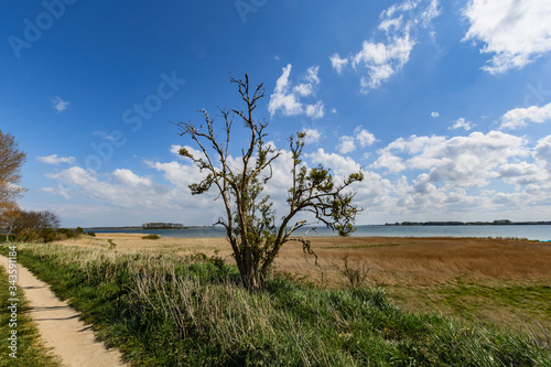 Wanderweg mit Blick zum Strelasund, Insel Rügen