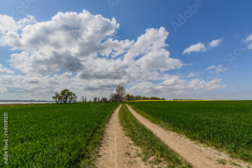 Landschaft bei Gustow auf Rügen photo