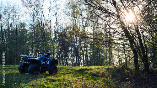 You can also admire nature from behind the wheel photo