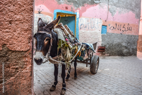 Marrakech, Morocco - 12.29.2019: Donkey pulling a car full of rags