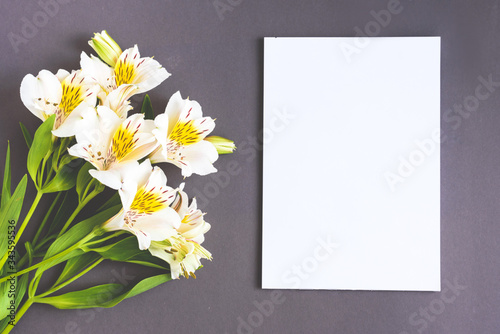 Alstroemeria flowers on the grey colored background