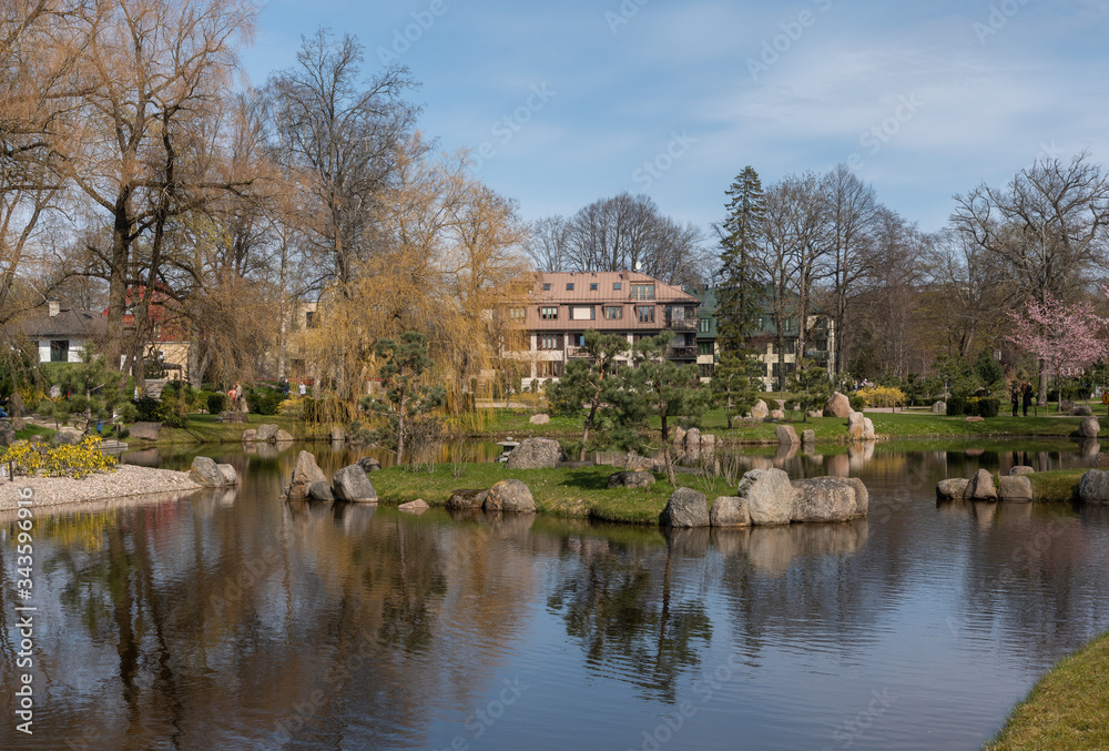Fototapeta premium pond in the park spring time