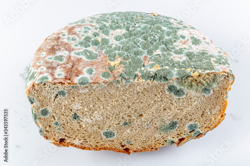 Moldy rotten bread on white background. Inappropriate attitude toward food, modern life, consumerism concept. Wasting food conceptual photo. Covered with mildew. Selective focus on bread. photo