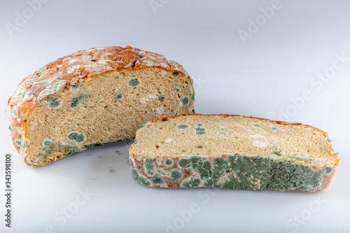 Moldy rotten bread on white background. Inappropriate attitude toward food, modern life, consumerism concept. Wasting food conceptual photo. Covered with mildew. Selective focus on bread. photo