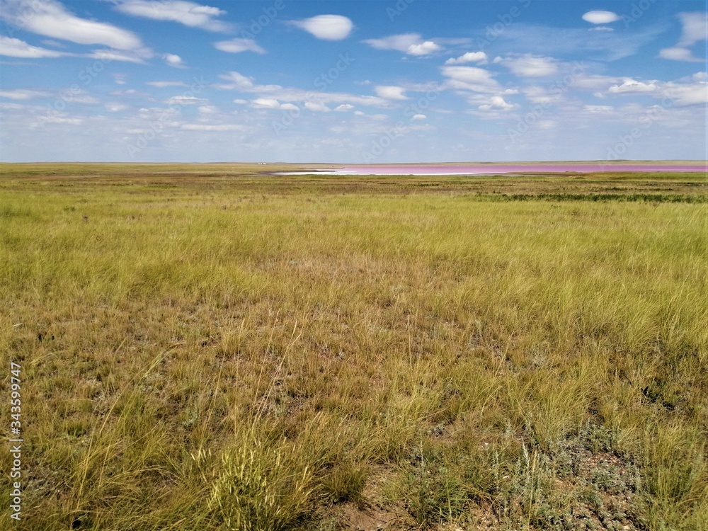 Dry yellow grass and blue sky with white clouds in rhe steppe of Kazakhstan.