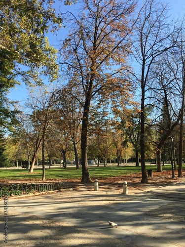 Bunter Park in Madrid