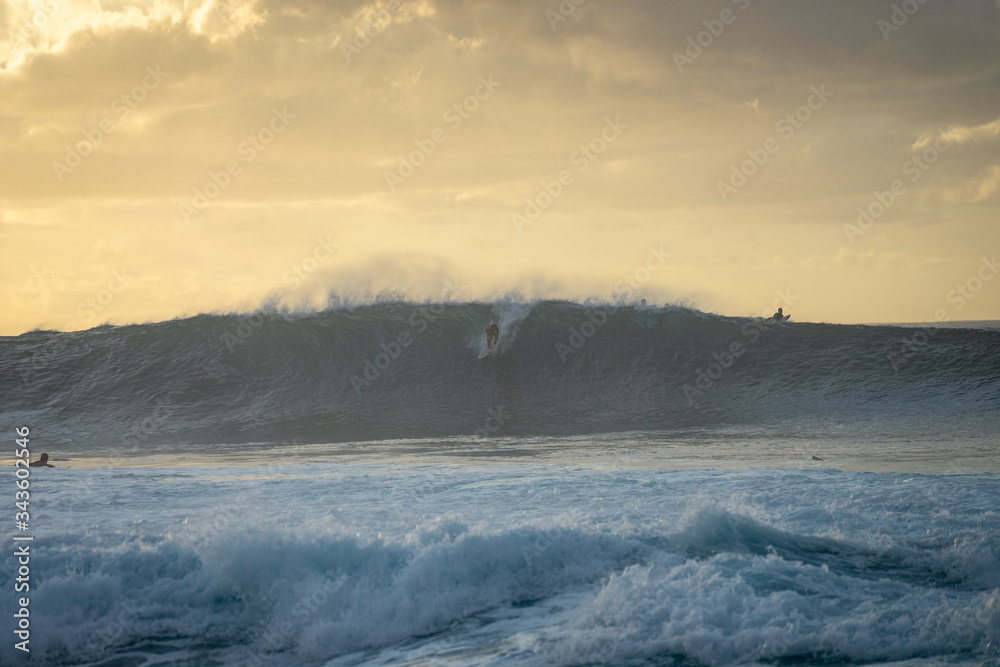 Hawaii
north shore
pipeline
 