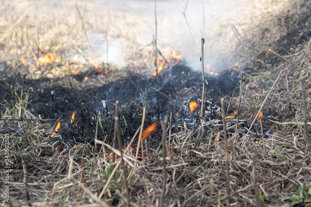 Dry grass burns in summer from the heat. Burning grass in the field and forest. The burnt ground after a forest fire. Dry grass burns in summer from the heat. Burning grass in the field and forest. The burnt ground after a forest fire.