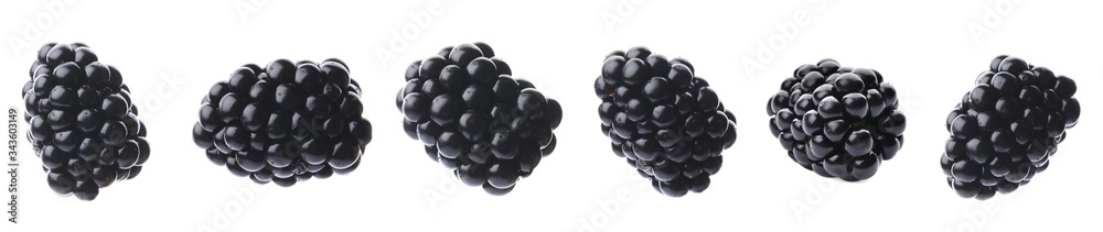 Set of ripe falling blackberries on white background. Banner design Set of ripe falling blackberries on white background. Banner design