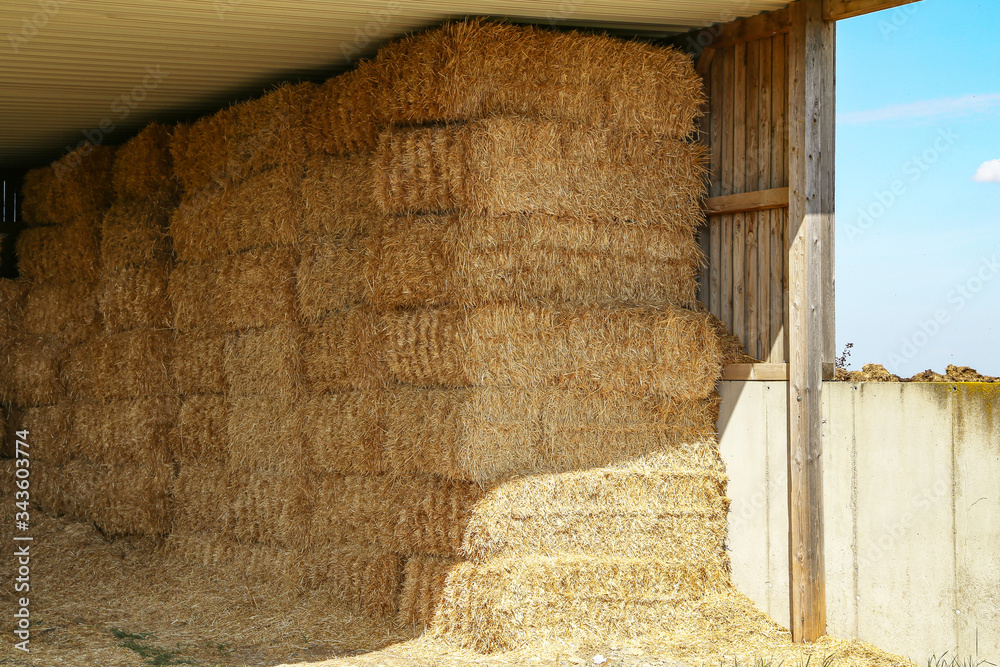 Straw in bales under a wooden canopy Straw in bales under a wooden canopy