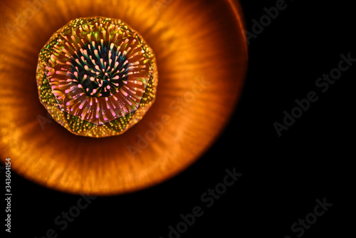 kolorowa lampa led w złotym kloszu  © Marcin