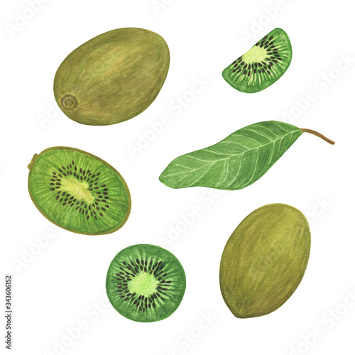 Kiwi plant whole and sliced ripe fruit and leaves watercolor botanical illustration, simple pattern for making greeting cards, invitations, menu, textile