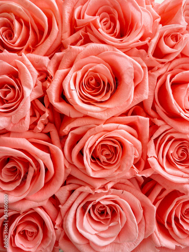 Close Up von Rosen Bouquet 
