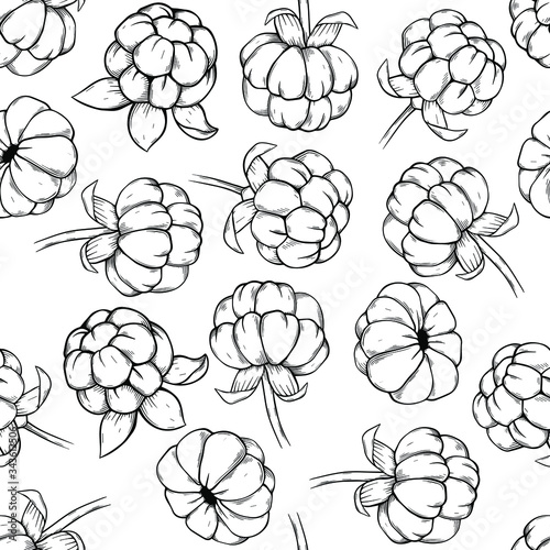 seamless pattern cloudberry hand drawn vector illustration. Sketch style drawing isolated on white background with leaf. Organic vegetarian object for menu, label, recipe, product packaging