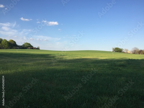 Polish land and grass. Village in Poland 