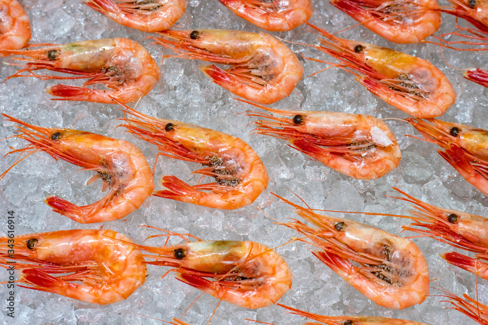 The prawns are already on ice. Seafood sales. Fish shop. Fish delicacies. Gifts of the sea. Cooking shrimp dishes. Health food. The counter for seafood. Culinary background of prawns.