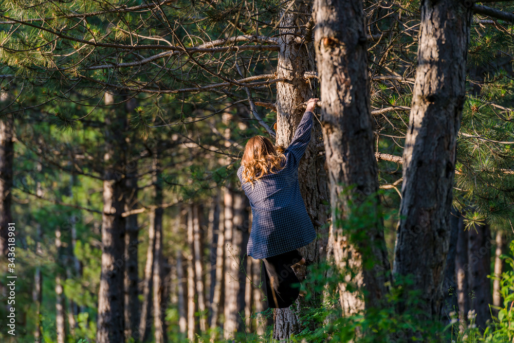 Summer forest activity fitness hiking on a tree in the woods