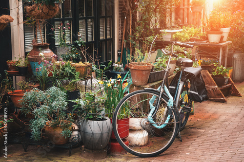Amsterdam narrow street with building exterior decorated by green plants and flowers with old vintage bike.