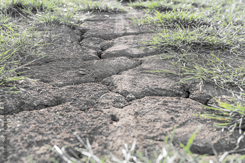 Trockenheit, Dürre, Klimaerwärmung Trockenheit, Dürre, Klimaerwärmung