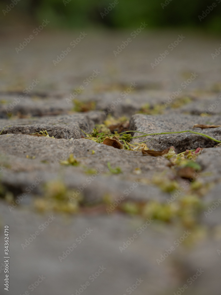 texture of an old sidewalk in Prague in spring 2020
texture of an old sidewalk in Prague in spring 2020