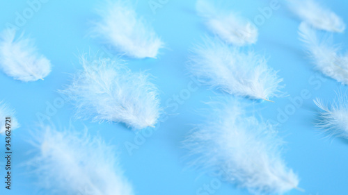 group white fluffy bird feather from a chicken on a blue background. banner. regular pattern