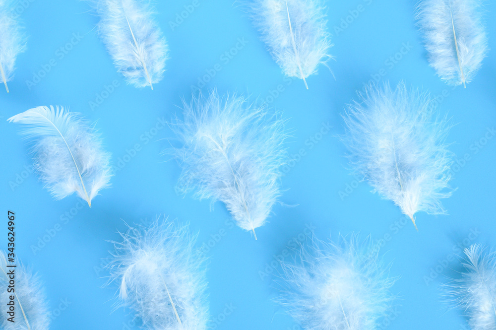 group white fluffy bird feather from a chicken on a blue background. regular pattern