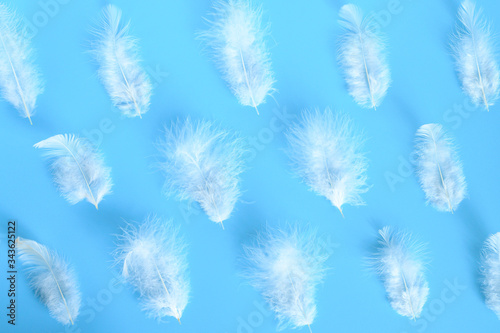 group white fluffy bird feather from a chicken on a blue background. regular pattern