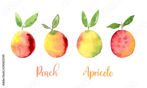 Peach Apricote Yellow Orange Pink watercolor set images. Bright hand painted berries isolated on white background. Collection in modern trendy style for card, poster, banner, print textile, fashion photo