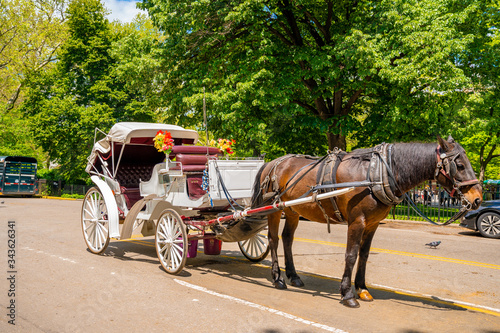 A horse and buggy carriage with coachman in Central Park in New York City. The carriage rides are in danger of being banned for animal safety issues.