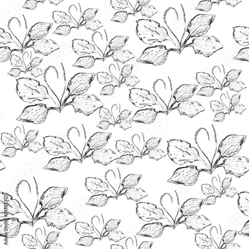 Ink Illustration plantain seamless pattern for design paper, textile, ets. Botanical motifs